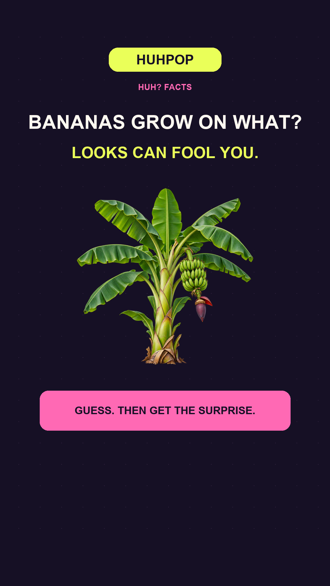 HuhPop Short 34 cover: Bananas: a surprising plant